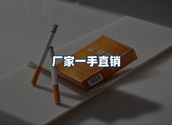 专业团队办公环境